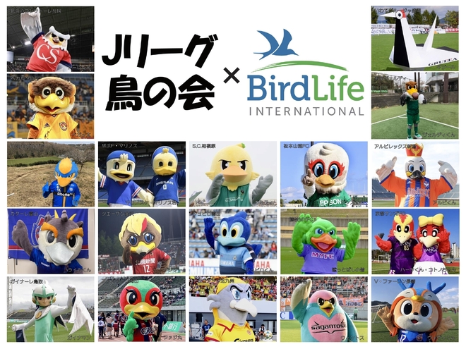 Jリーグ鳥の会に注目 愛鳥週間に向けて楽しく情報を発信中 サッカーダイジェストweb